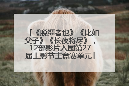 《脱缰者也》《比如父子》《长夜将尽》，12部影片入围第27届上影节主竞赛单元