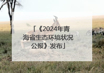 《2024年青海省生态环境状况公报》发布