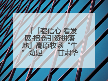 「强信心 看发展·招商引资拼落地」高原牧场“牛”劲足——甘肃华予高原牧场高标准奶牛肉牛养殖项目一线见闻