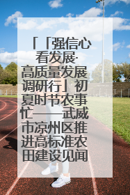 「强信心 看发展·高质量发展调研行」初夏时节农事忙——武威市凉州区推进高标准农田建设见闻