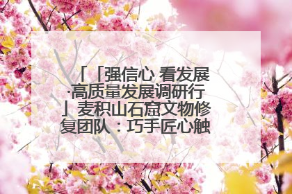 「强信心 看发展·高质量发展调研行」麦积山石窟文物修复团队：巧手匠心触摸“光阴的故事”