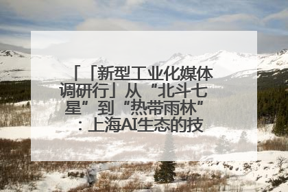 「新型工业化媒体调研行」从“北斗七星”到“热带雨林”：上海AI生态的技术商业共生密码