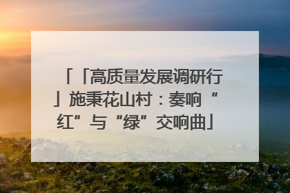 「高质量发展调研行」施秉花山村：奏响“红”与“绿”交响曲