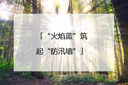 “火焰蓝”筑起“防汛墙”