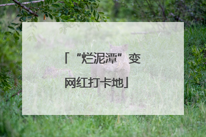“烂泥潭”变网红打卡地