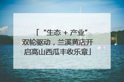 “生态 + 产业”双轮驱动，兰溪黄店开启高山西瓜丰收乐章