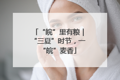 “皖”里有粮｜“三夏”时节，一“皖”麦香