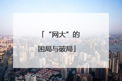 “网大”的困局与破局