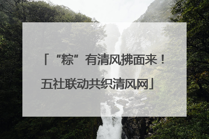 “粽”有清风拂面来！五社联动共织清风网
