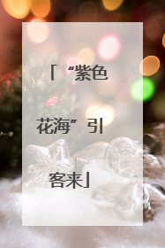 “紫色花海”引客来