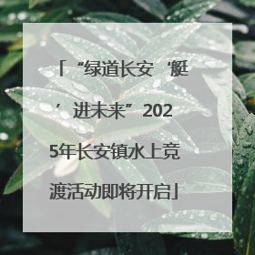 “绿道长安‘艇’进未来”2025年长安镇水上竞渡活动即将开启