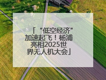 “低空经济”加速起飞！杨浦亮相2025世界无人机大会