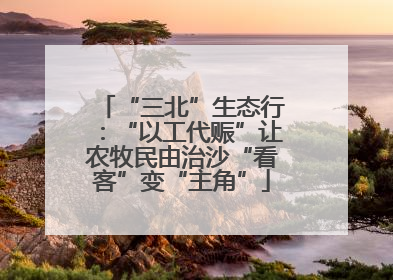 “三北”生态行：“以工代赈”让农牧民由治沙“看客”变“主角”