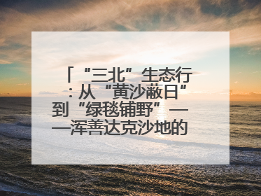 “三北”生态行：从“黄沙蔽日”到“绿毯铺野”——浑善达克沙地的“绿色重生”