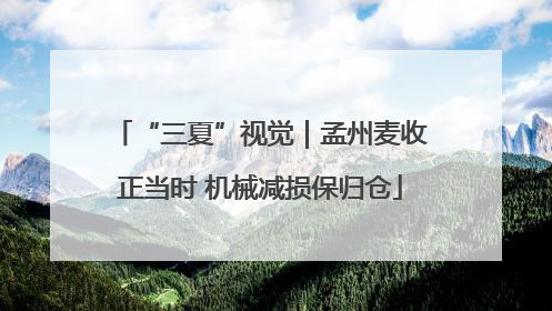 “三夏”视觉｜孟州麦收正当时 机械减损保归仓