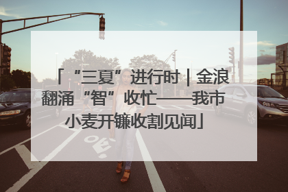 “三夏”进行时｜金浪翻涌“智”收忙——我市小麦开镰收割见闻