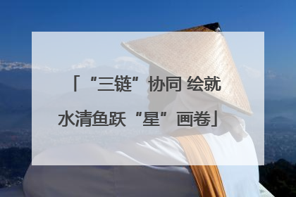 “三链”协同 绘就水清鱼跃“星”画卷