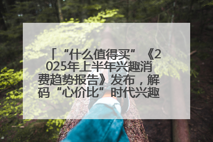 “什么值得买”《2025年上半年兴趣消费趋势报告》发布，解码“心价比”时代兴趣消费新范式