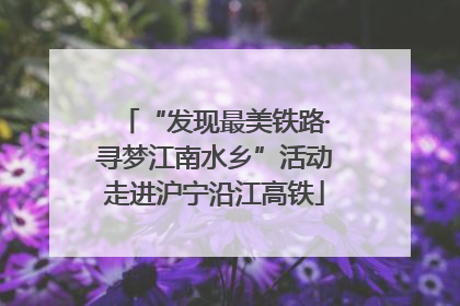 “发现最美铁路·寻梦江南水乡”活动走进沪宁沿江高铁