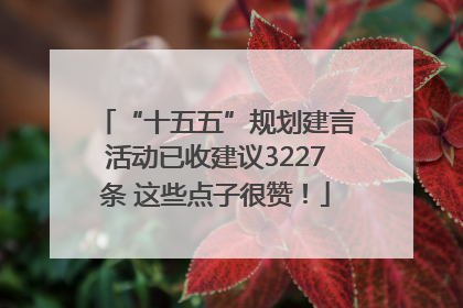 “十五五”规划建言活动已收建议3227条 这些点子很赞！