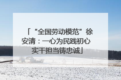 “全国劳动模范”徐安清：一心为民践初心 实干担当铸忠诚