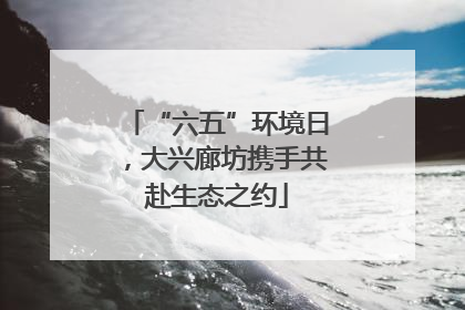 “六五”环境日，大兴廊坊携手共赴生态之约