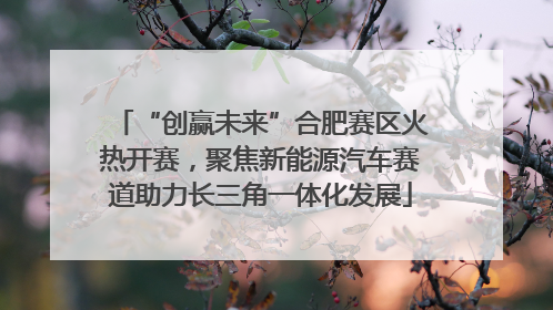 “创赢未来”合肥赛区火热开赛，聚焦新能源汽车赛道助力长三角一体化发展
