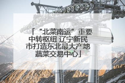 “北菜南运”重要中转枢纽 辽宁新民市打造东北最大产地蔬菜交易中心