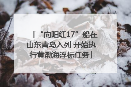 “向阳红17”船在山东青岛入列 开始执行黄渤海浮标任务