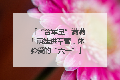 “含军量”满满！萌娃进军营，体验爱的“六一”