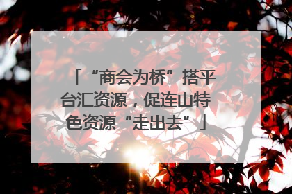 “商会为桥”搭平台汇资源，促连山特色资源“走出去”