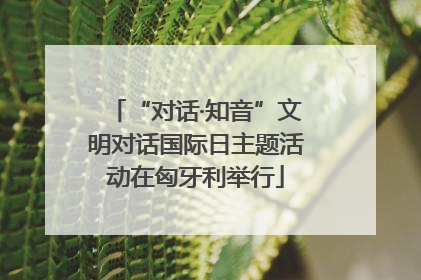 “对话·知音”文明对话国际日主题活动在匈牙利举行