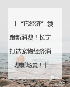 “它经济”领跑新消费！长宁打造宠物经济消费新场景！