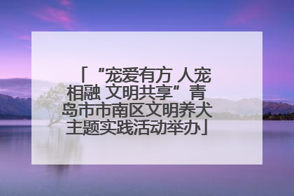 “宠爱有方 人宠相融 文明共享”青岛市市南区文明养犬主题实践活动举办