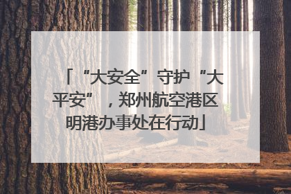 “大安全”守护“大平安”，郑州航空港区明港办事处在行动