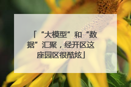 “大模型”和“数据”汇聚，经开区这座园区很酷炫
