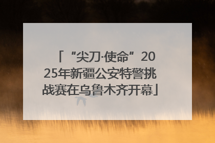 “尖刀·使命”2025年新疆公安特警挑战赛在乌鲁木齐开幕