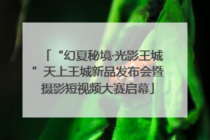 “幻夏秘境·光影王城”天上王城新品发布会暨摄影短视频大赛启幕