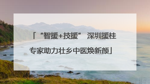 “智援+技援” 深圳援桂专家助力壮乡中医焕新颜