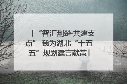 “智汇荆楚·共建支点” 我为湖北“十五五”规划建言献策