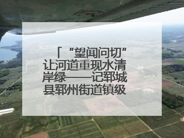 “望闻问切”让河道重现水清岸绿——记郓城县郓州街道镇级河长孟泓辰