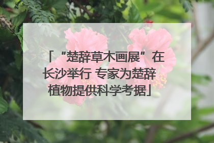 “楚辞草木画展”在长沙举行 专家为楚辞植物提供科学考据