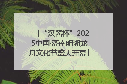 “汉酱杯”2025中国·济南明湖龙舟文化节盛大开幕