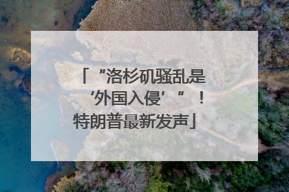 “洛杉矶骚乱是‘外国入侵’”！特朗普最新发声