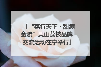 “荔行天下・甜满金陵”灵山荔枝品牌交流活动在宁举行