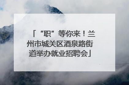 “职”等你来！兰州市城关区酒泉路街道举办就业招聘会