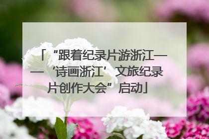“跟着纪录片游浙江——‘诗画浙江’文旅纪录片创作大会”启动