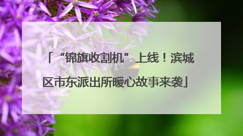 “锦旗收割机”上线！滨城区市东派出所暖心故事来袭