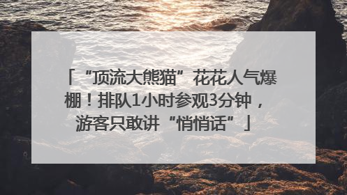 “顶流大熊猫”花花人气爆棚！排队1小时参观3分钟，游客只敢讲“悄悄话”