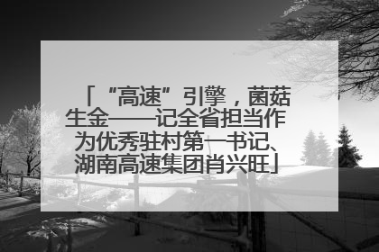 “高速”引擎，菌菇生金——记全省担当作为优秀驻村第一书记、湖南高速集团肖兴旺